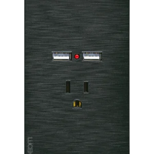 BF05-N PLACA PLANA CON 1 CONTACTO Y 2 ENTRADAS DE USB FLAT NEGRA